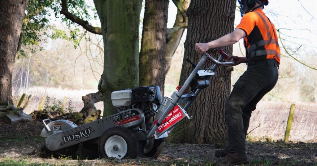 stump removal