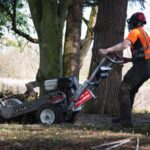 Understanding Tree Grinding and Its Benefits