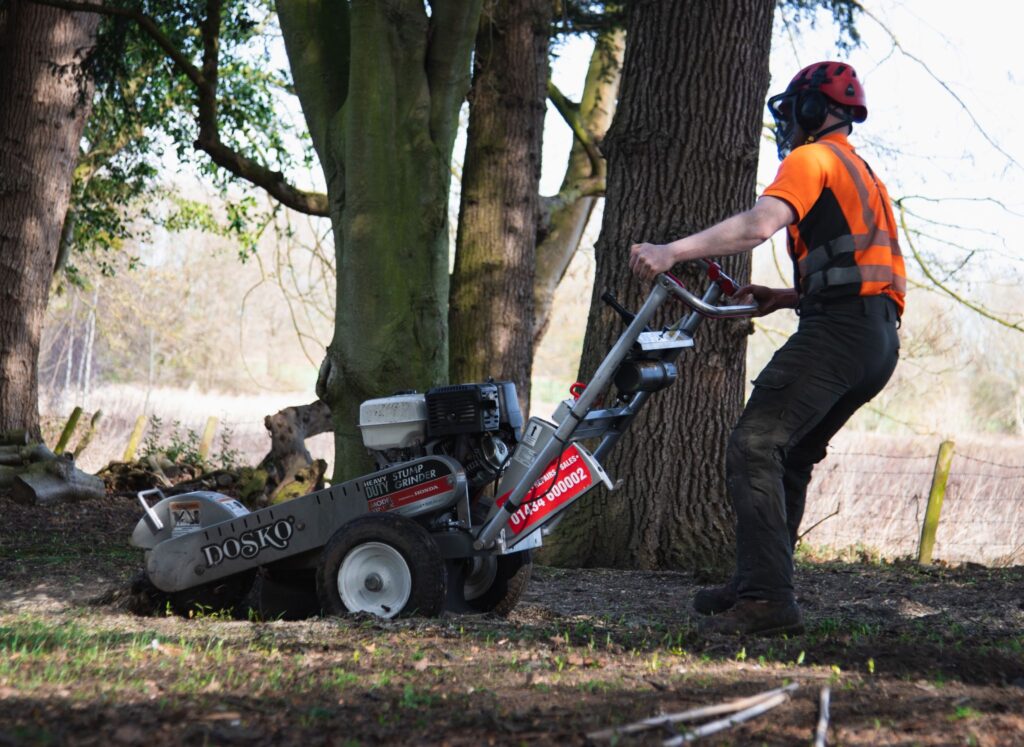 stump removal