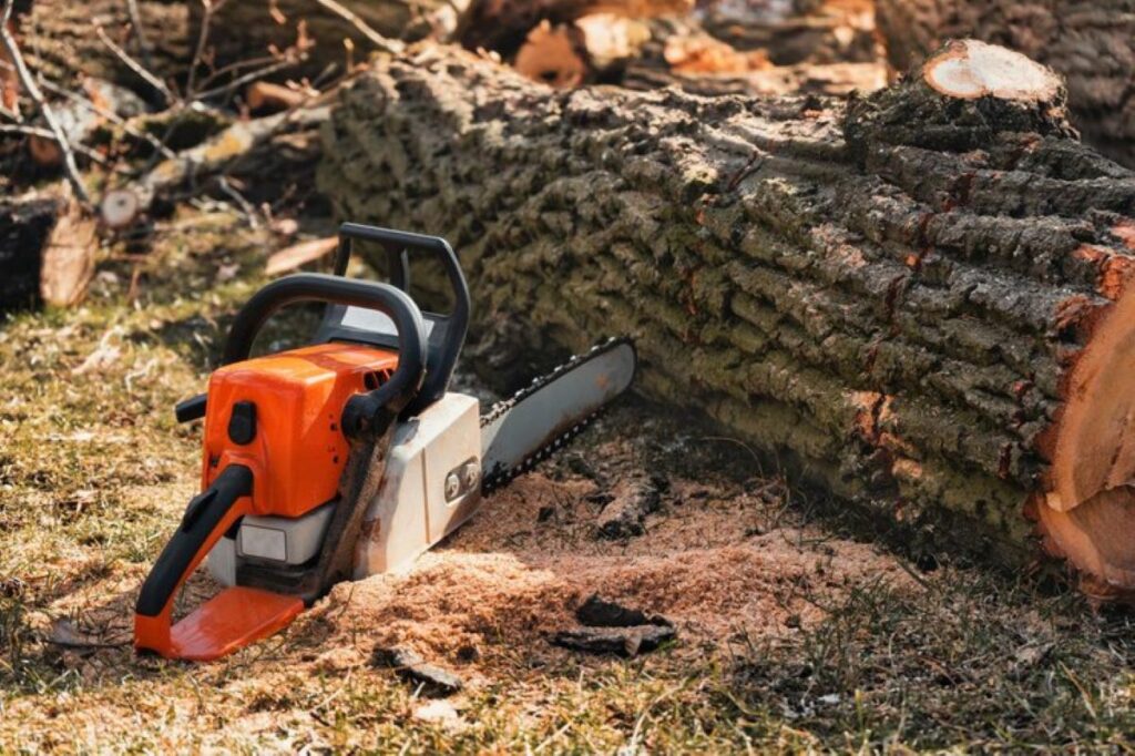 tree removal north shore