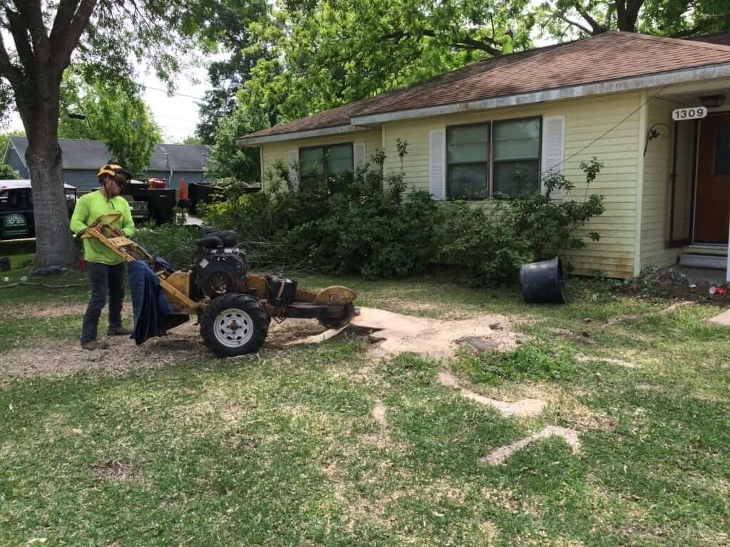 Tree Stump Removal