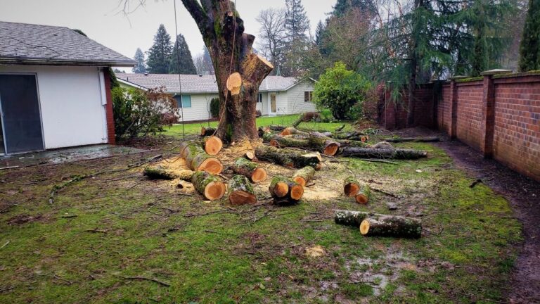 Tree Stump Removal