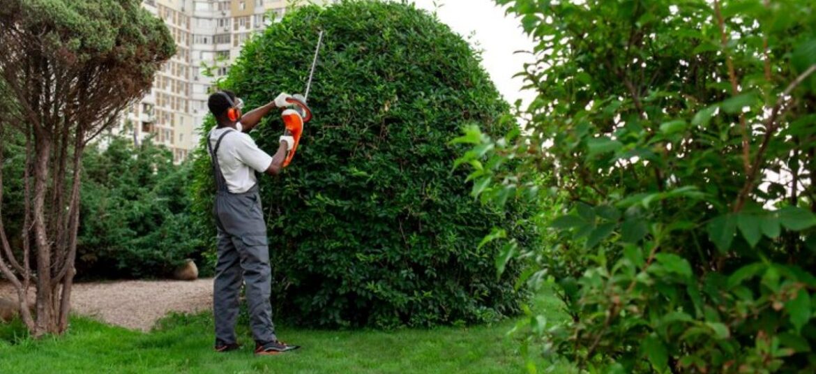 Hedge Shaping