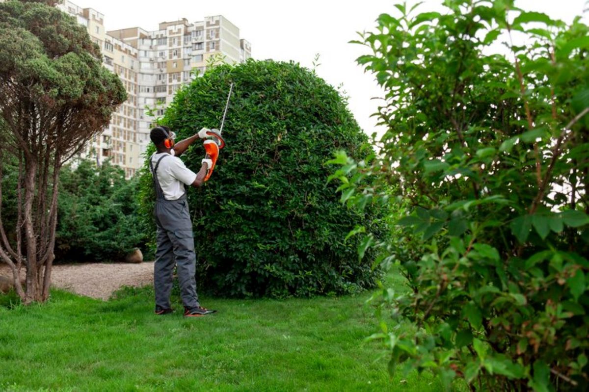 Hedge Shaping