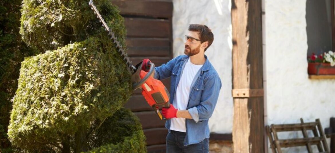 Hedge Trimming Near Me