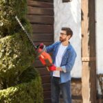 Hedge Trimming Near Me: Finding the Right Local Experts