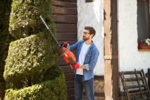 Hedge Trimming Near Me