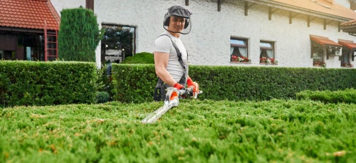 hedge trimming
