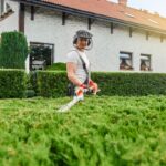 Hedge Trimming Service Cost in Sydney: What Affects Your Quote?
