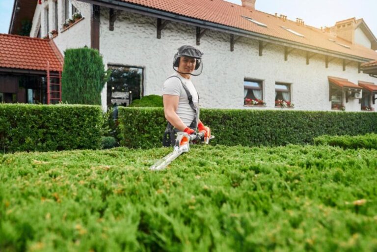 hedge trimming