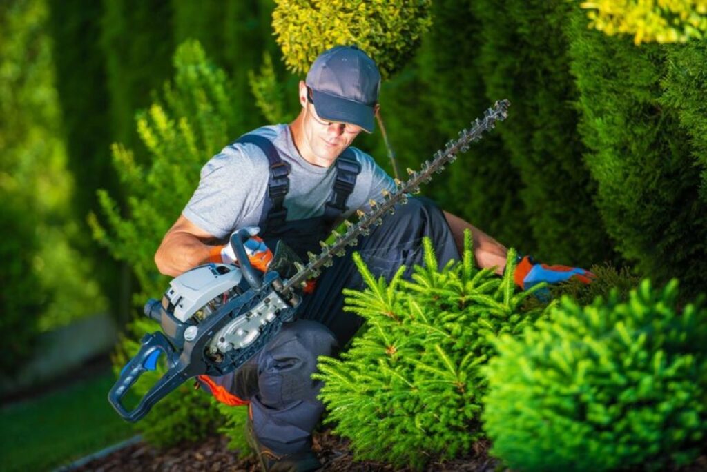 Hedge Trimming Near Me