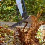Tree Stump Removals Made Easy: Stump Grinding Services in Sydney