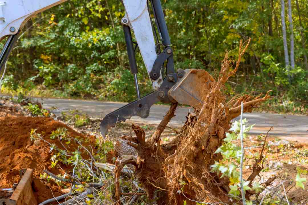 Tree Stump Removals Made Easy: Stump Grinding Services in Sydney\par