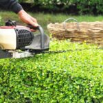 Garden Health Benefits of Professional Tree Hedge Trimming