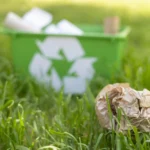 Green Waste Removal Services: Sustainable Solutions for Sydney Properties