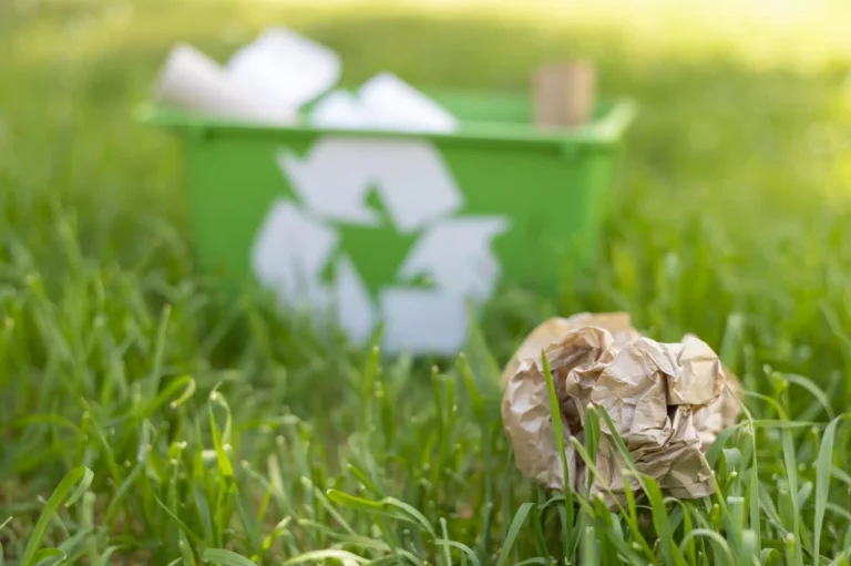 Green Waste Removal Services: Sustainable Solutions for Sydney Properties