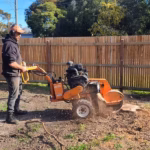 How a Tree Stump Grinder Works on Different Root Systems