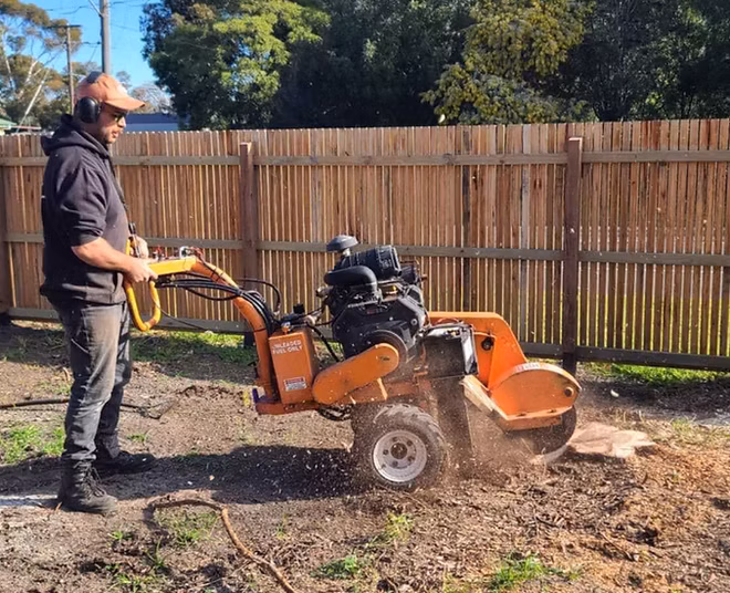 Stump Grinding