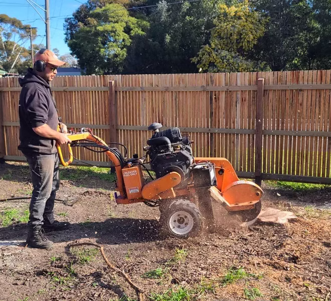 Stump Grinding